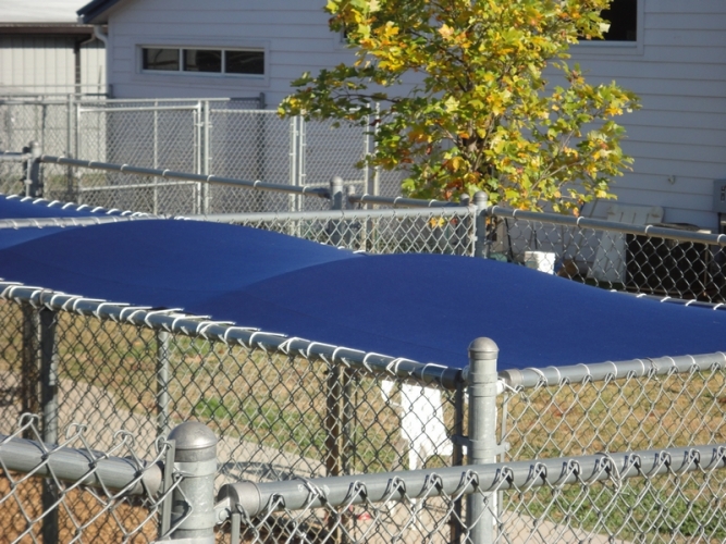 Custom Canvas Kennel Covers